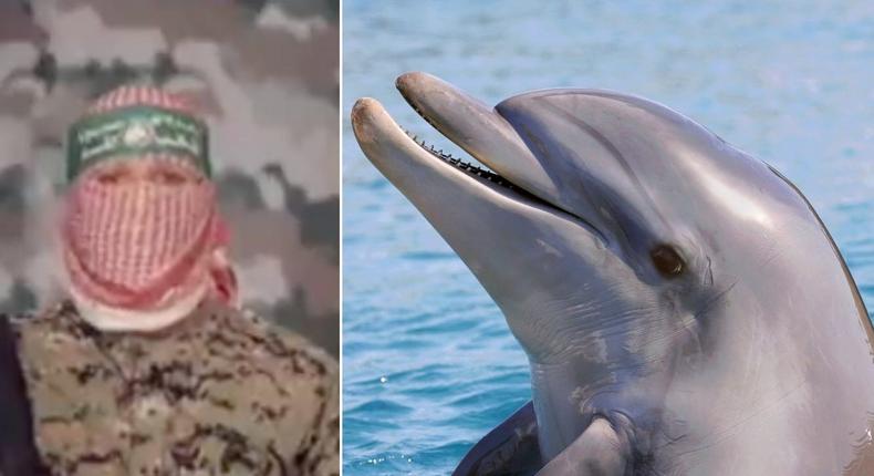 A Hamas spokesperson released a video saying the militant group had discovered an Israeli killer dolphin.