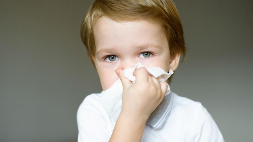 pollenallergia, gyerekek, megfázás, orrfolyás