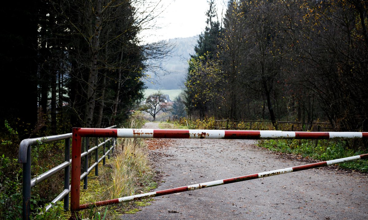 Spadła z urwiska, połamała się i utknęła w głuszy. Śledczy myśleli, iż nie żyje [FRAGMENT KSIĄŻKI]