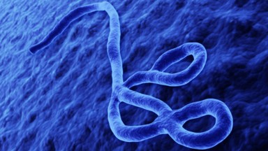 Choroby gorsze niż ebola: grypa, zakażenie wirusem HPV i drobnoustrojami