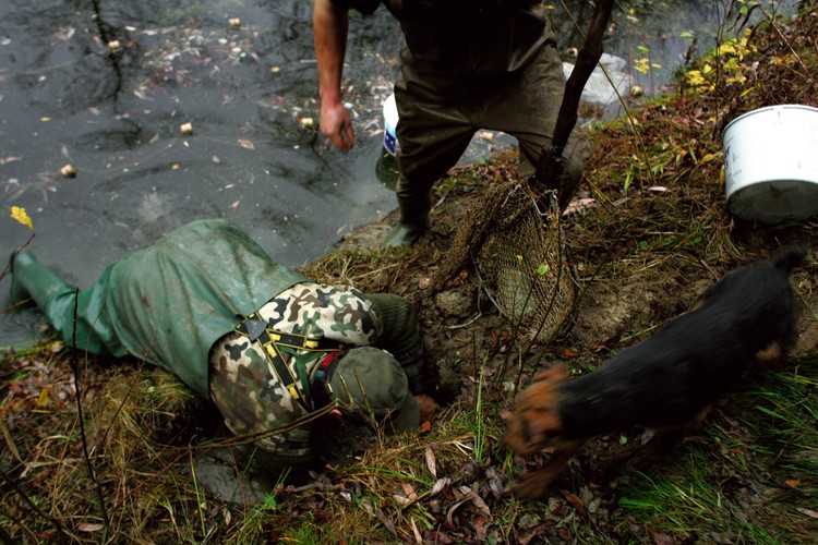 Fotoreportaż Wojtka Jargiło o przenoszeniu bobrów zwyciężył w konkursie BZ WBK PRESS FOTO 2009 w kategorii przyroda