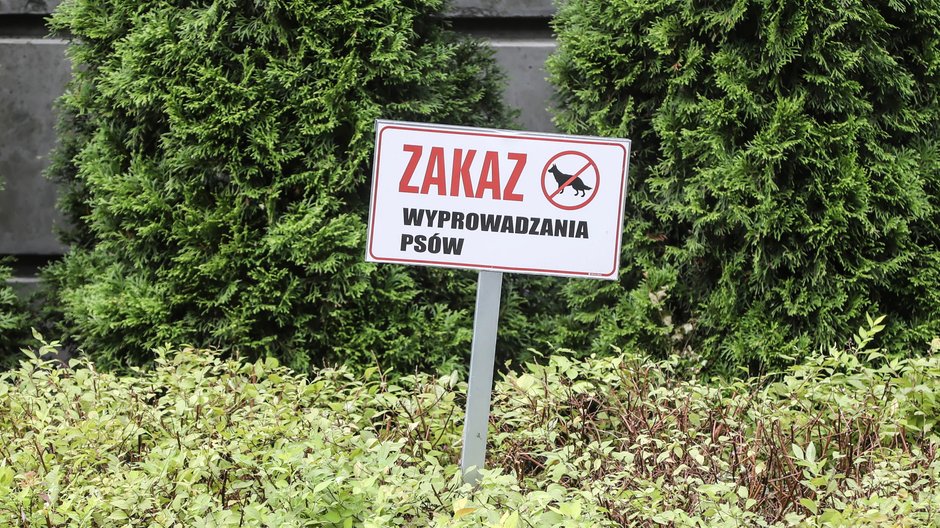 "Zakaz wyprowadzania psów" - czy takie tabliczki powinniśmy traktować, jako wiążące? Prawnicy są zgodni, że nie