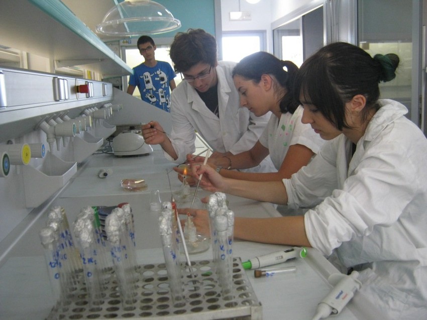 Mladi istraživači u "Petnici"