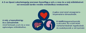 A cukorbetegség és a szívbetegségek összefüggése