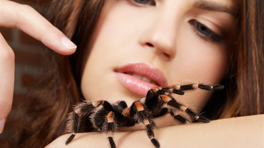 Kobieta przestraszyła się pająka. Wezwała policję