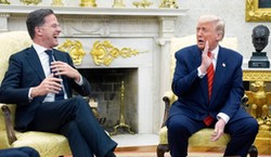 Niemcy pod wrażeniem taktyki szefa NATO. "Bezwstydne schlebianie dało efekty"