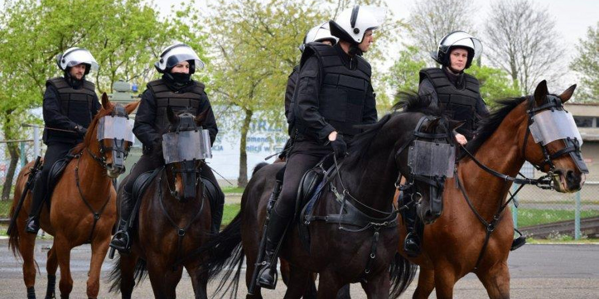 Konie w podkarpackiej policji zaliczyły trudny egzamin