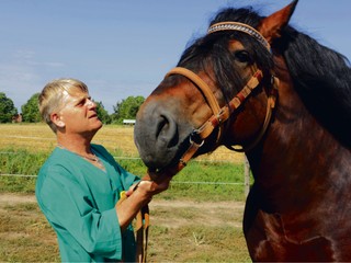 Weterynarz jest jak karetka pogotowia