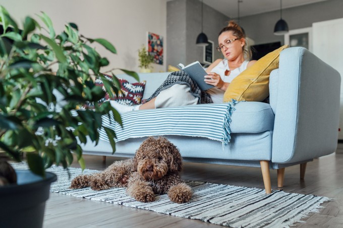 Így segíthet az olvasás a stresszes időszakokban