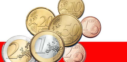 Rząd: Euro nie tak szybko