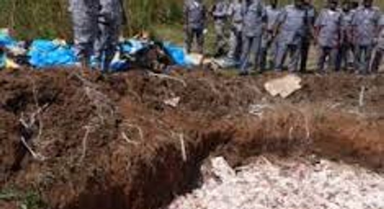 Customs destroys poultry products worth N15m in Edo