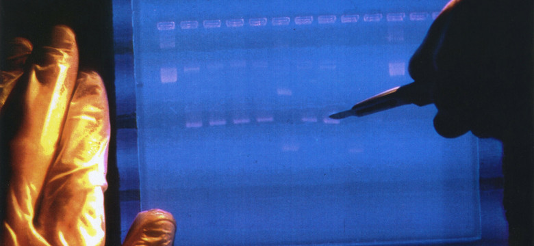 Naukowcy poznali kompletny genom człowieka. Odkrycie pomoże w badaniu chorób