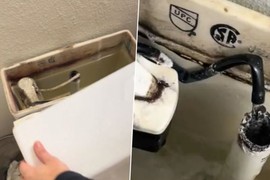 Suprug i ja smo bili bolesni svako malo, a onda sam pronašla "krivca" u našem kupatilu: Kad sam otvorila vodokotlić, umalo se nisam srušila