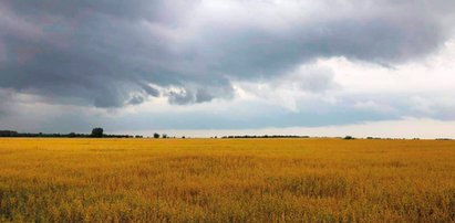 Szczegółowa prognoza dla regionów! Pogoda da nam w kość...