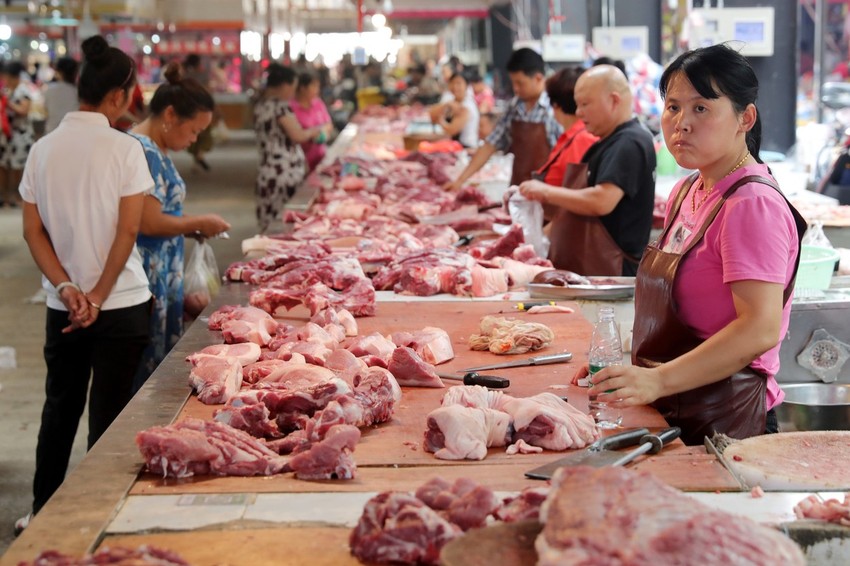 Stručnjaci su upozorili ljude da ne kupuju meso divljači i živinu na pijacama