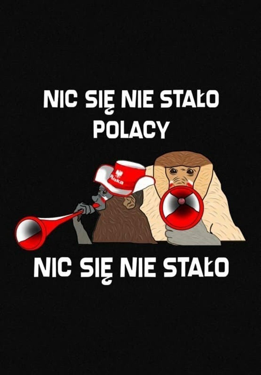 Memy po meczu Belgia - Polska 1:6