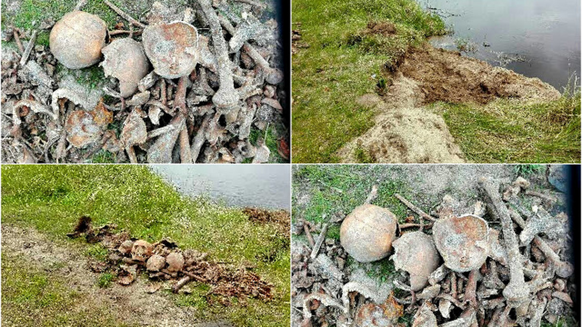 Prokuratura prowadzi postępowanie w sprawie odnalezienia grobów czterech polskich żołnierzy w pobliżu mostu w Siekierkach. Wątpliwości budzą okoliczności odkrycia szczątek. Najprawdopodobniej groby zostały odnalezione przez poszukiwaczy i przez nich ograbione.