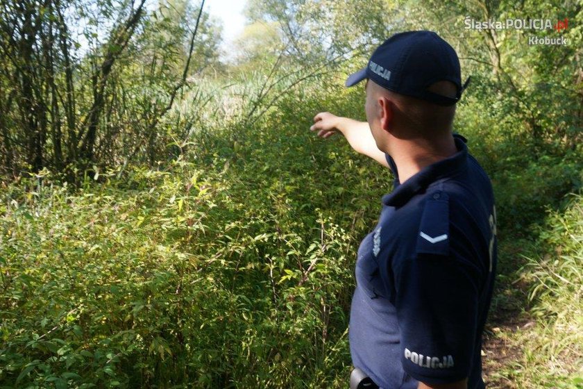 Wpadł do bagna, cudem przeżył