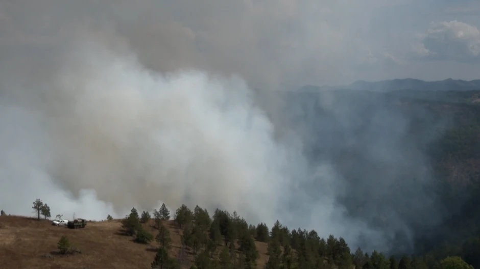 Vatrena stihija u kanjonu Uvca ne jenjava