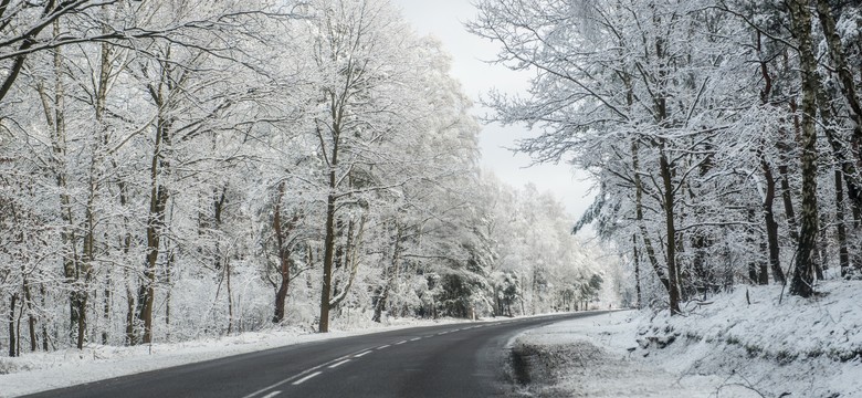 Piątek z mrozem i śniegiem na wschodzie. PROGNOZA POGODY