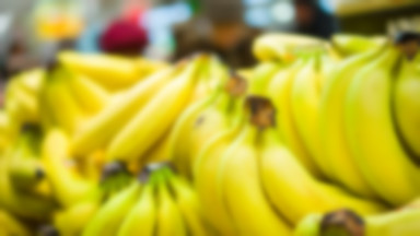 Banany mogą wyginąć. Przyszłość tych lubianych owoców jest zagrożona