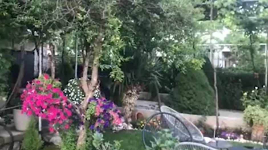 Nataša Ninković imanje