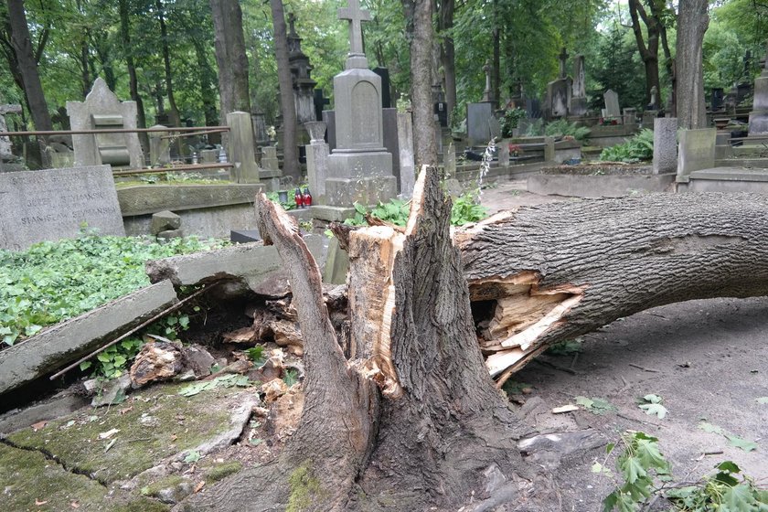 Zniszczone groby na Powązkach