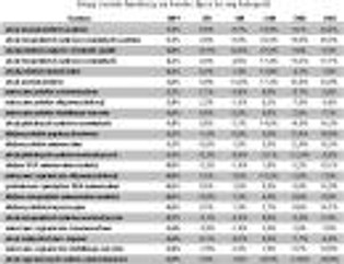 Ranking funduszy: amerykańskie akcje dały zarobić najwięcej