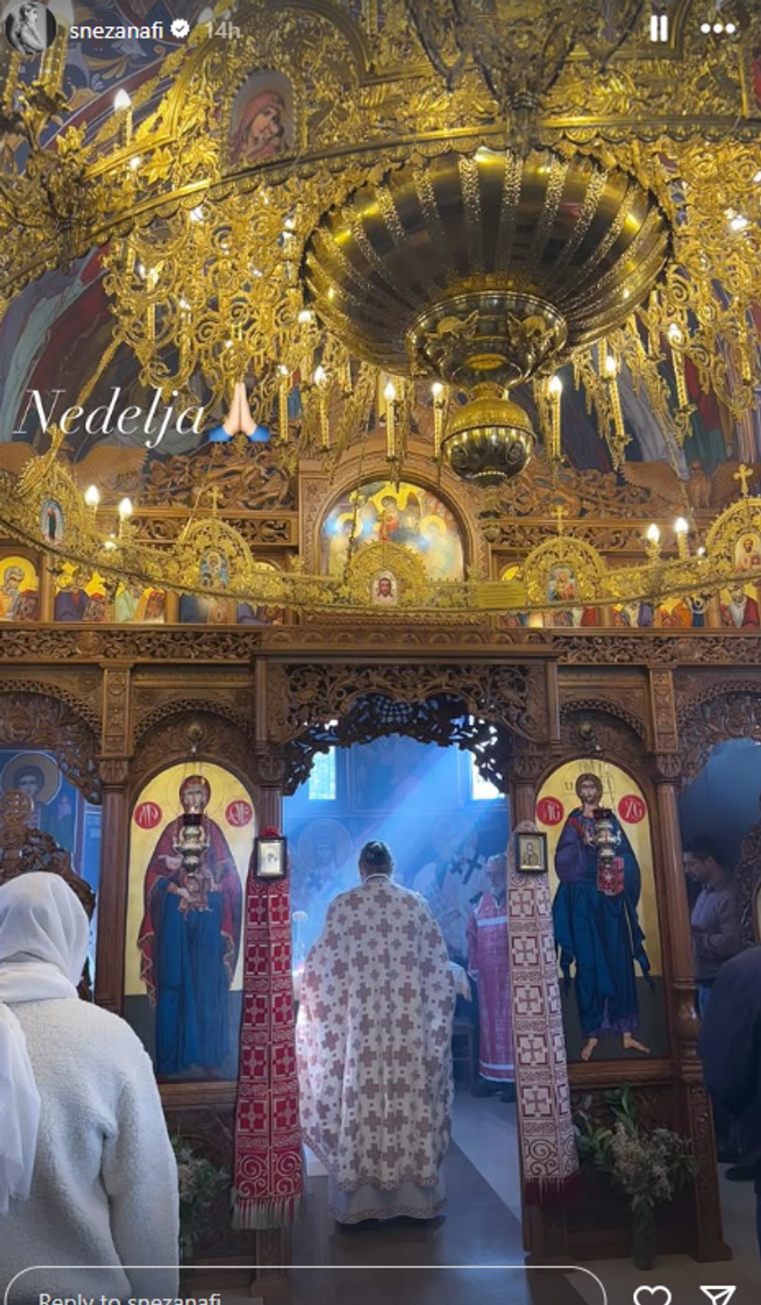 Snežana Borjan objava