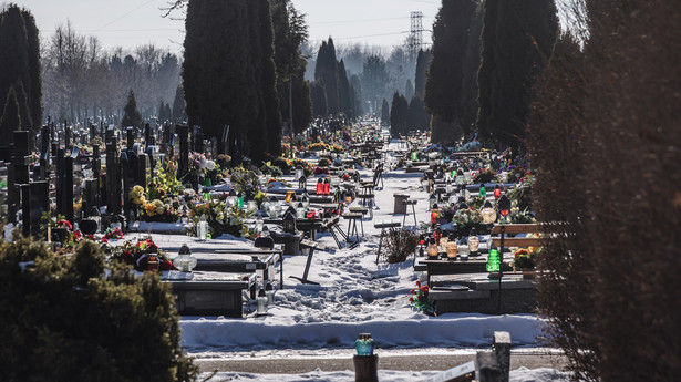 Cmentarz Komunalny Północny w Warszawie