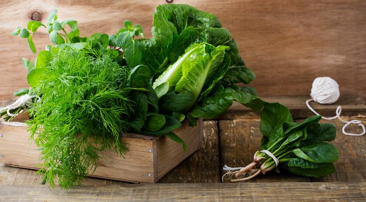Eszel elég „zöld levelet”? Táplálkozási szakértőnk elmondja a titkot Fotó: Getty Images