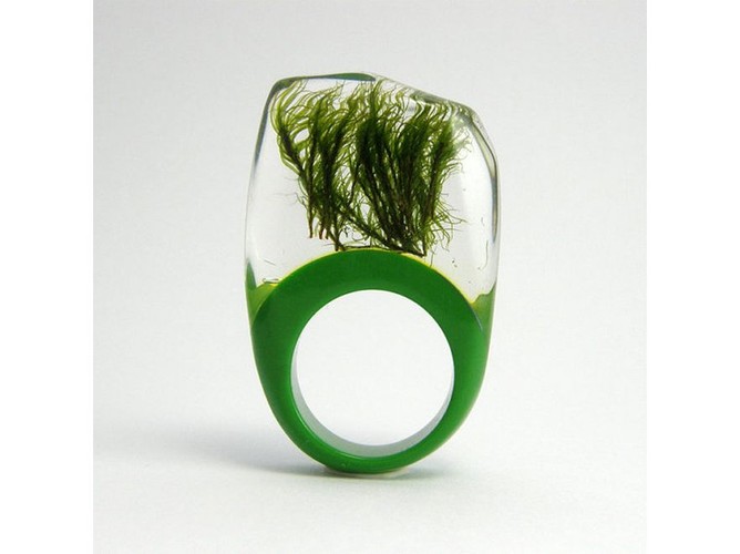 Zatrzymaj lato na dłużej! Roślinna biżuteria Sylwii Całus