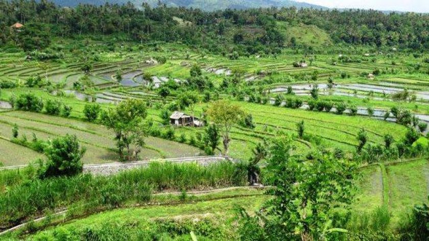 Zapierające dech w piersiach widoki na Bali