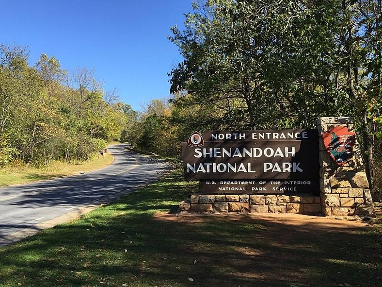 Przez wiele lat Roy był strażnikiem w Shenandoah National Park