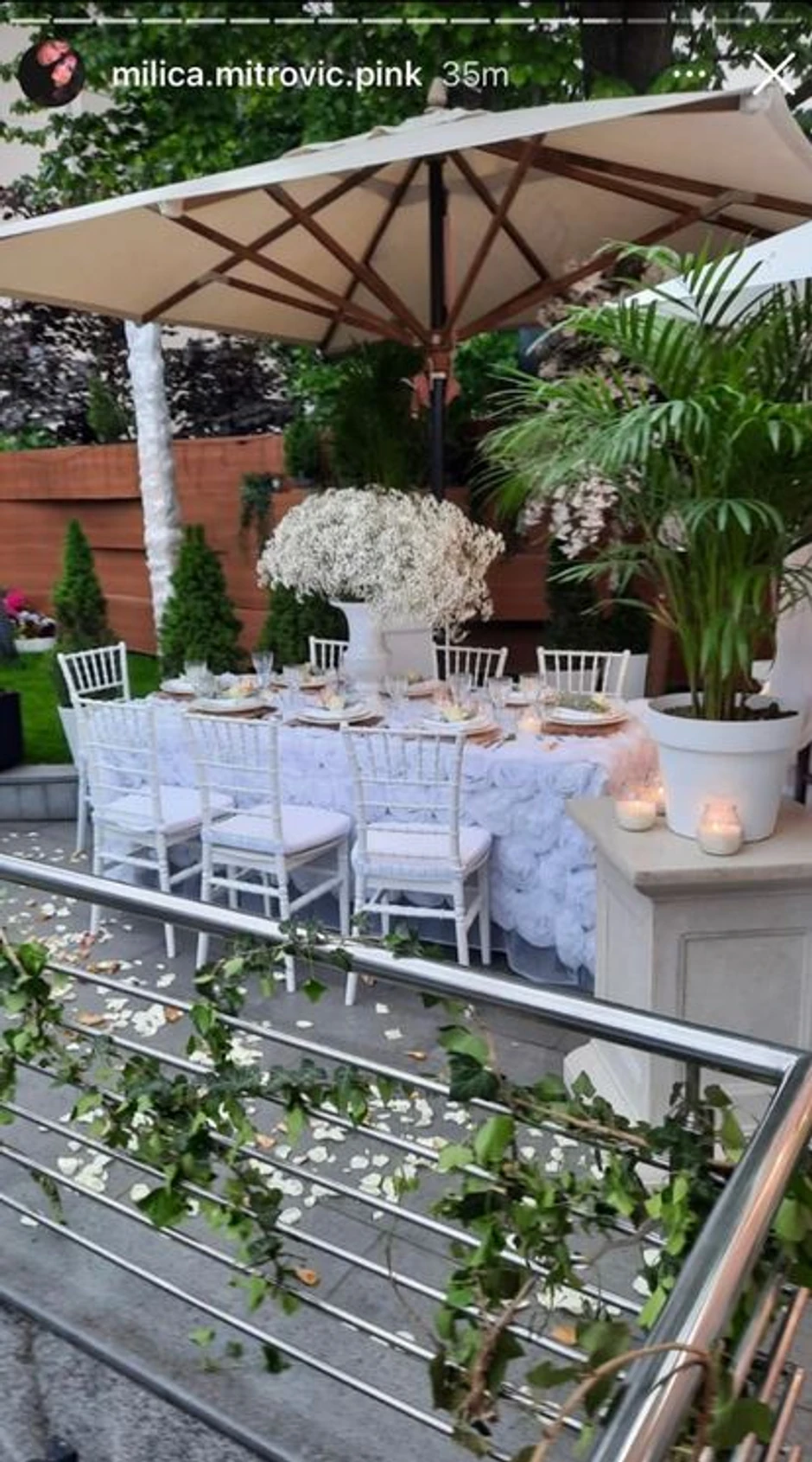 Objava Milice Mitrović