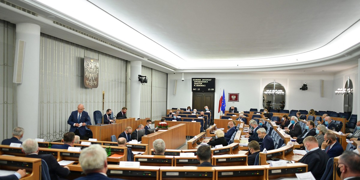 Senat przyjął poprawki w ustawie o ochronie zwierząt