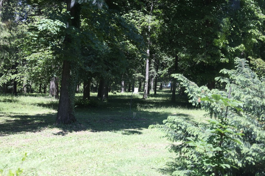 Grob Davorjanke Paunović