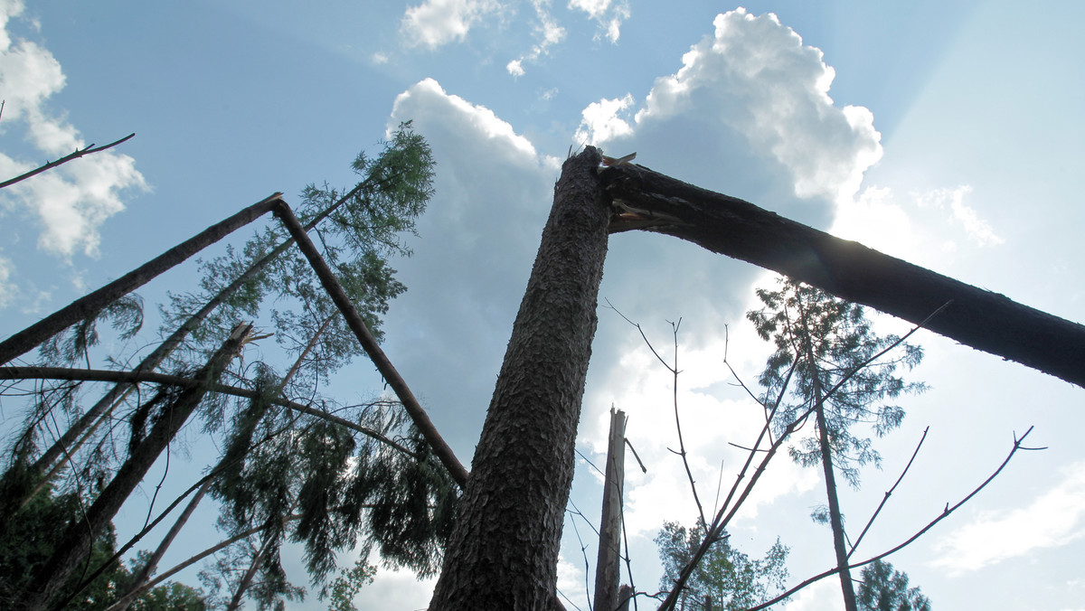 Grodziczno: nawałnica uszkodziła dachy i drzewa