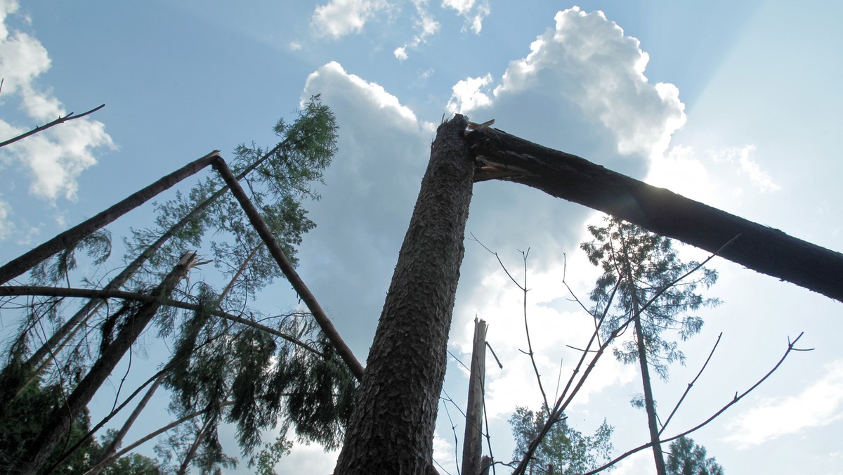 Grodziczno: nawałnica uszkodziła dachy i drzewa