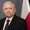 Kaczyński o przepisach dot. wycinki drzew: Do poprawy