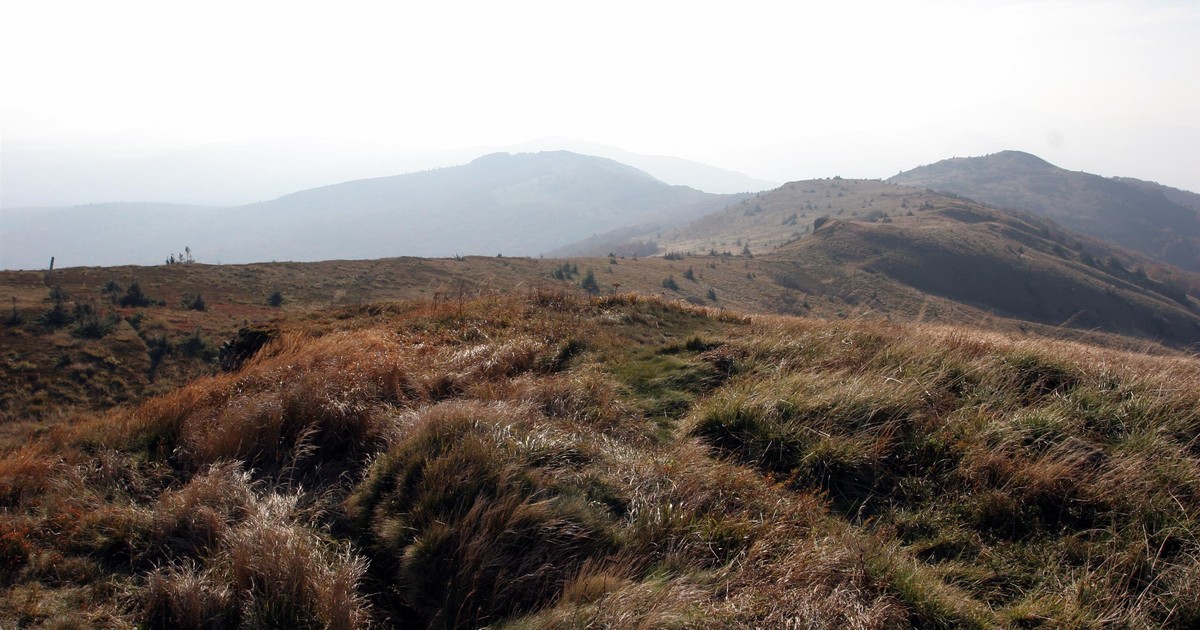 Awantura o wejście na Opołonek. Bieszczadzki Park Narodowy reaguje po fali hejtu