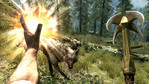 Kadr z gry "The Elder Scrolls V: Skyrim"