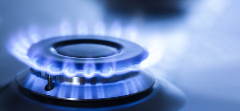 Prezes URE: Wezwaliśmy kilkanaście przedsiębiorstw do korekty taryf na gaz