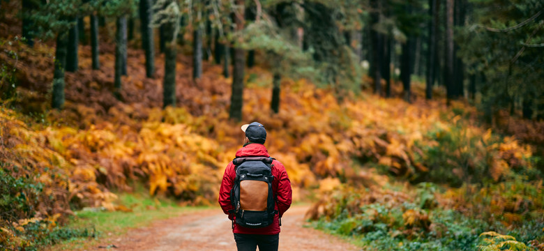 Plecaki turystyczne i trekkingowe kupisz teraz taniej!