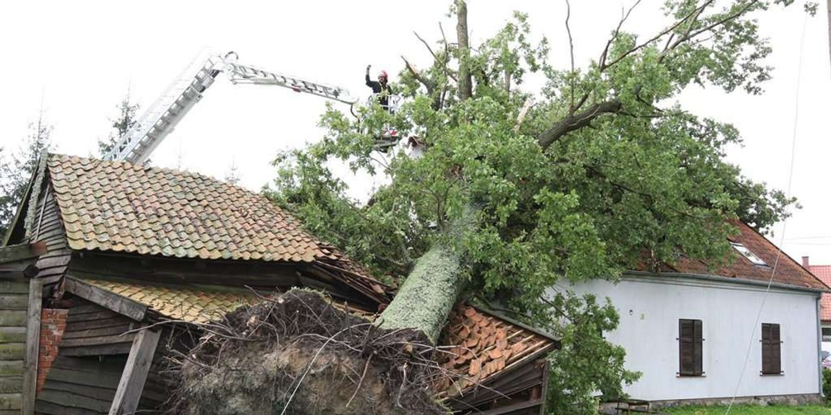 100-letni dąb zwalił się na dom państwa Szczyglak