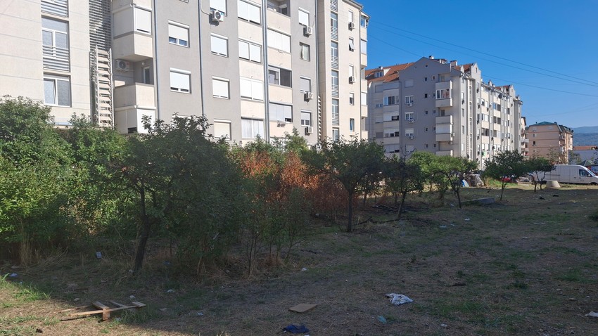 Drvored pored igrališta u Studeničkoj ulici