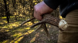 zaczął się sezon na „zrzuty”, ale nie wszędzie jest to legalne. za ile