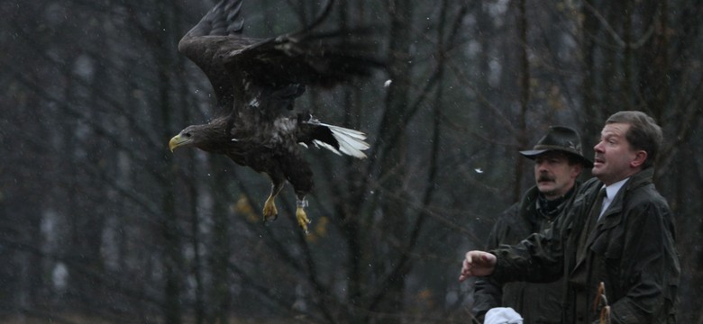 Na Święto Niepodległości leśnicy wypuścili bielika