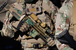 wraca sprawa utworzenia armii europejskiej. zapadły pierwsze decyzje