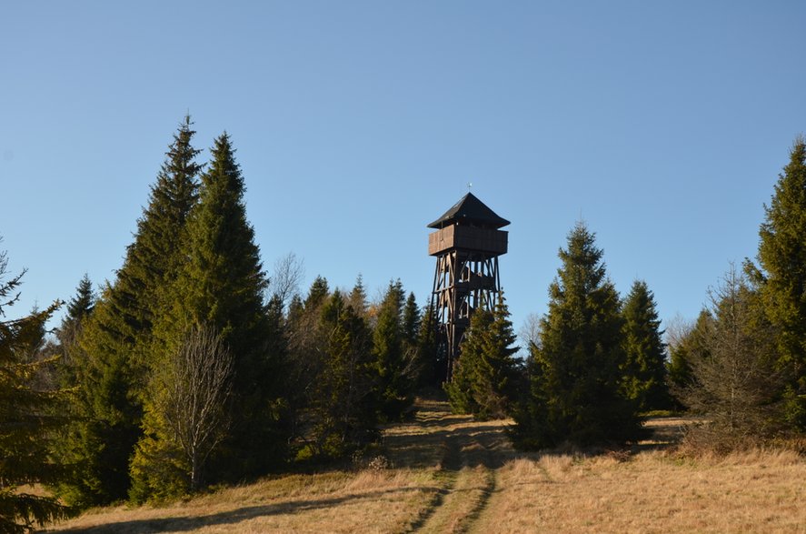 Gorce. Wieża widokowa na Magurkach.